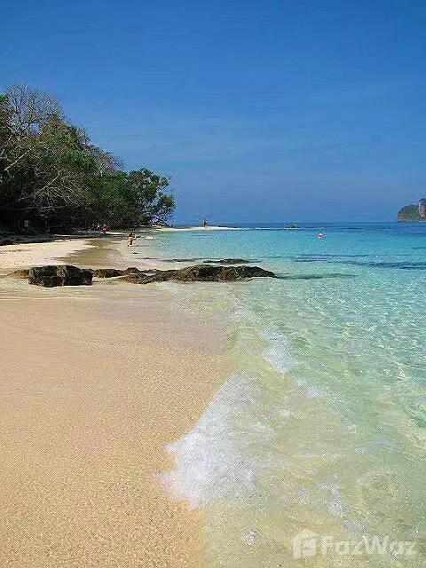 picture Land for sale in Pa Khlok, Phuket - 1/5