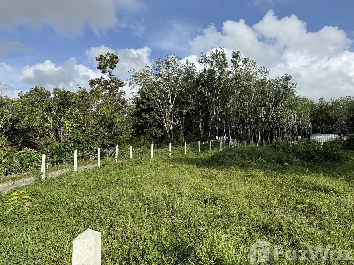 picture Land for sale in Si Sunthon, Phuket - 2/14