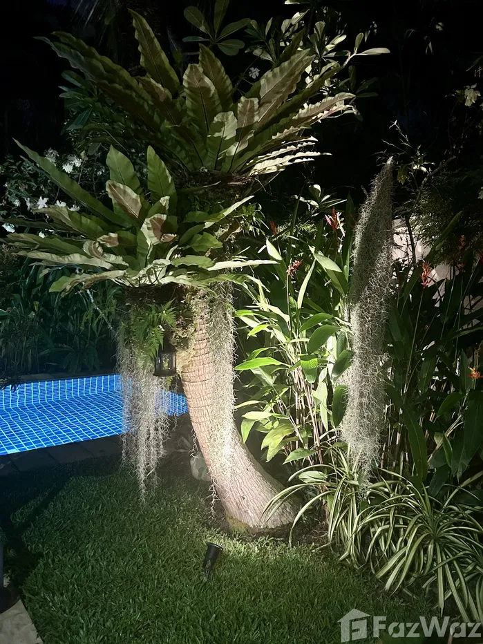 รูป ขาย วิลล่า 2 ห้องนอน ใน เชิงทะเล, ภูเก็ต - รูปที่ 25/55