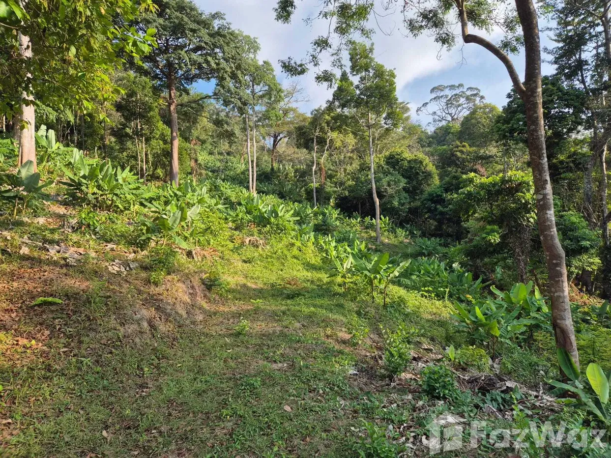 picture Land for sale in Kamala, Phuket - 3/17
