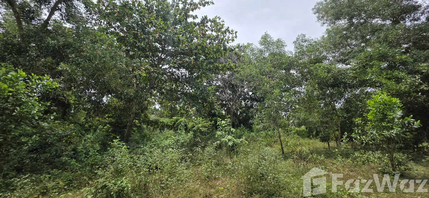 รูป ขาย ที่ดิน ใน ไม้ขาว, ภูเก็ต - รูปที่ 12/16