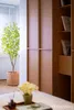 listing thumbnail image 13