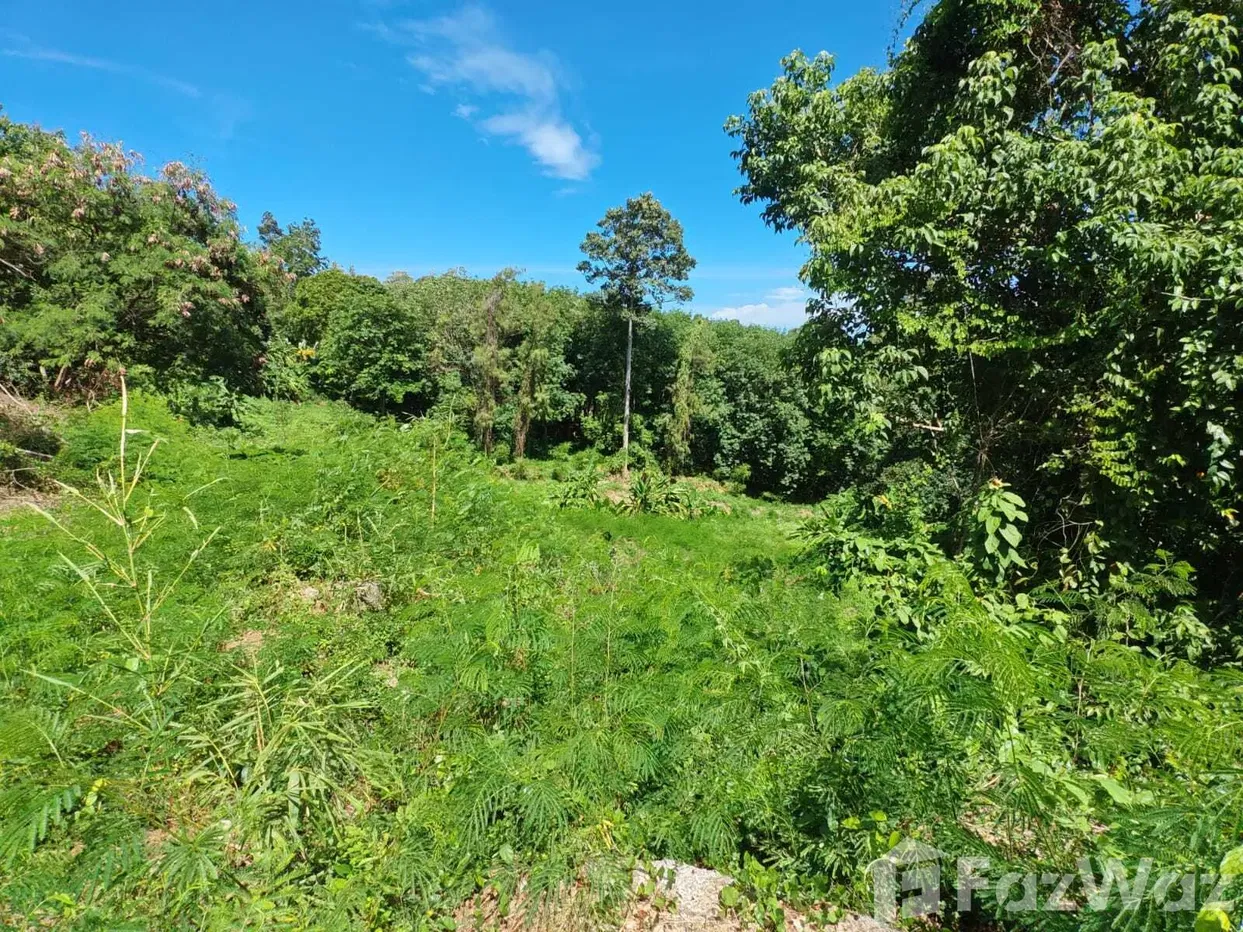 รูป ขาย ที่ดิน ใน มะเร็ต, สุราษฎร์ธานี - รูปที่ 2/15