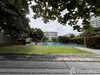 listing thumbnail image 25