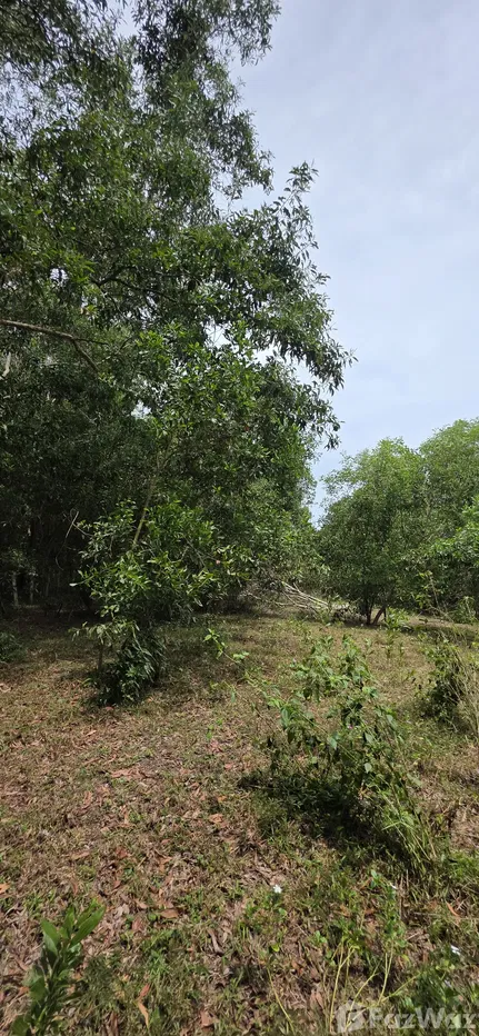 รูป ขาย ที่ดิน ใน ไม้ขาว, ภูเก็ต - รูปที่ 7/16