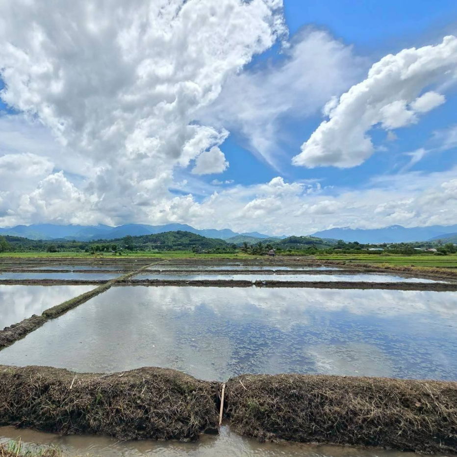 picture 🌿 Beautiful Mountain View Land for Sale in Fang, Chiang Mai 🍃 Perfect for a country home, vacation house, or a stylish café in nature 🌳 - 5/11
