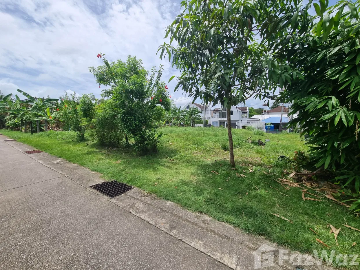 picture Land for sale in Choeng Thale, Phuket - 6/8