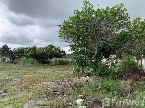 Land for sale in Nong Prue, Chon Buri