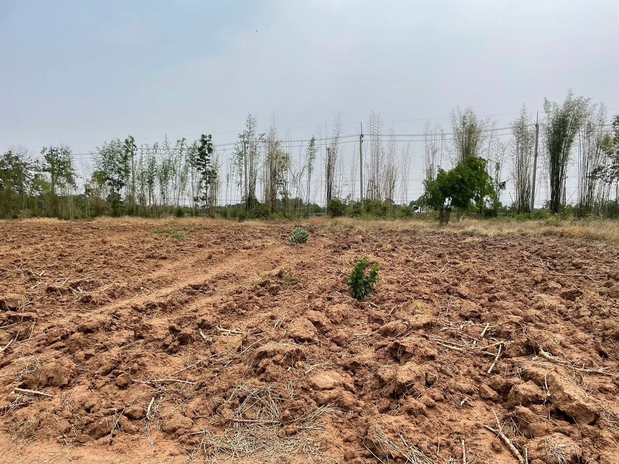 picture ที่ดินเปล่า 57444 square meter Buri Ram Lam Plai Mat Nong Khu for 30518000 THB - 6/9
