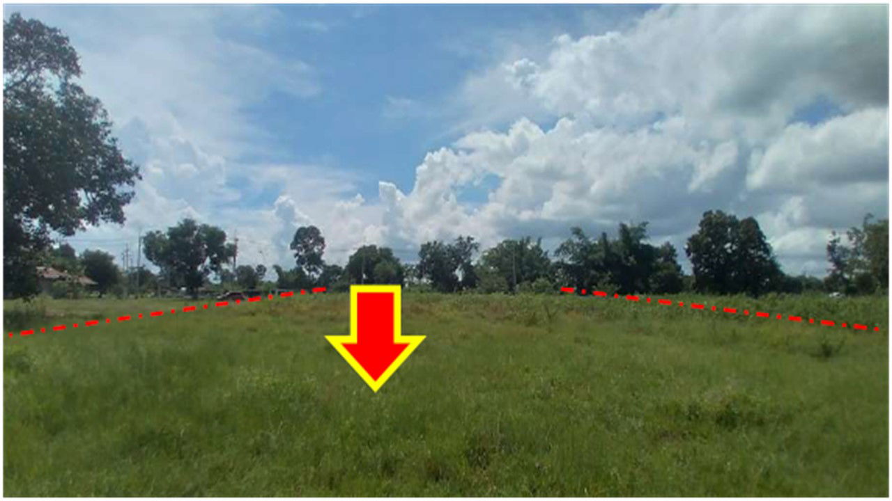 picture ที่ดินเปล่า 11820 square meter Yasothon Loeng Nok Tha Sawat for 8549000 THB - 5/9
