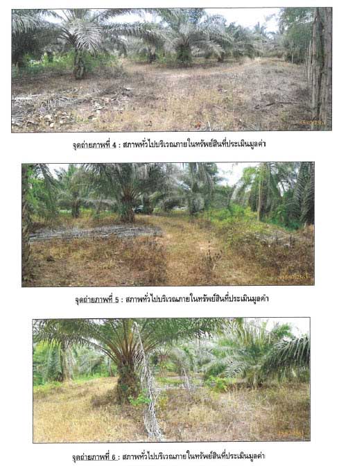 picture ที่ดินเปล่า 2980 square meter Krabi Lam Thap Lam Thap for 5960000 THB - 2/8