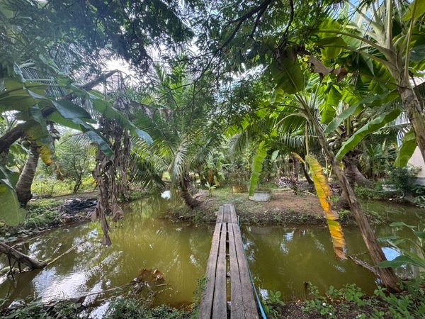 รูป บ้านเดี่ยวพร้อมที่ดิน 2 ไร่ หนองเสือ - คลอง 10 ปทุมธานี - รูปที่ 17/18