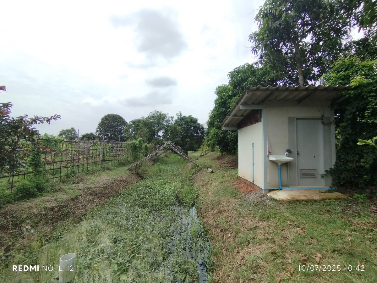 picture 🌿 Riverside Land for Sale in Bangpakong - Over 5 Rai, Pak Nam Cholo, Near Bang Khla Market - High Potential for Eco-Agricultural Business Development - 8/9