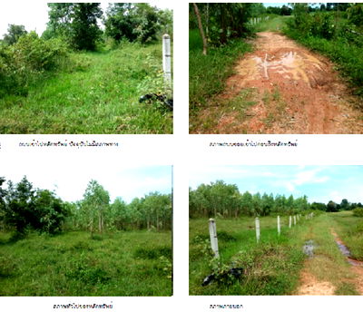Land for sale Muang Sakon Nakhon Sakon Nakhon : ที่ดินเปล่า 32448 square meter Sakon Nakhon Muang Sakon Nakhon Kha Min for 2759000 THB