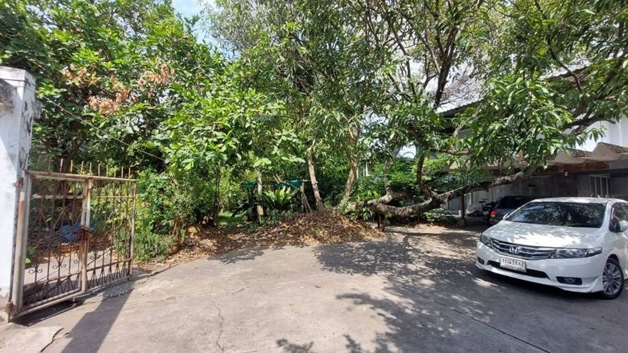 picture Land for sale at Wat Phai Ngern Chotnaram, good price, beautiful land (N.663) - 8/8