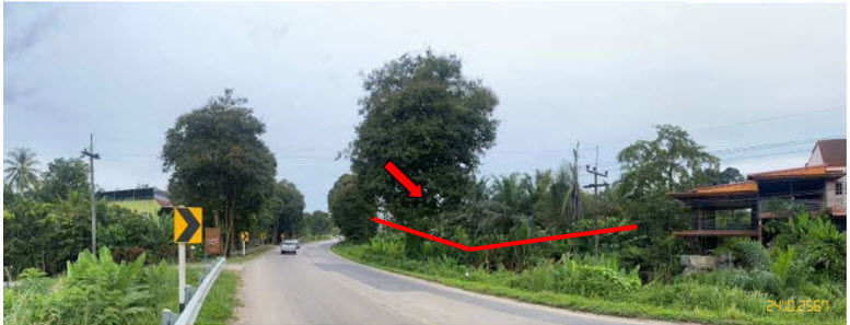 picture ที่ดินเปล่า 2980 square meter Krabi Lam Thap Lam Thap for 5960000 THB - 3/8
