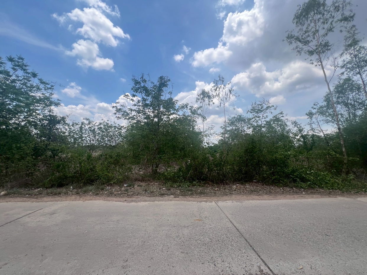 picture ที่ดินเปล่า 8000 square meter Maha Sarakham Muang Maha Sarakham Khwao for 3124000 THB - 3/12