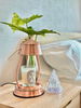 listing thumbnail image 10
