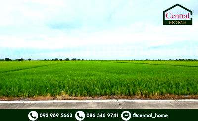 ที่ดิน การไฟฟ้าส่วนภูมิภาค (กฟภ.) : ที่ดินเปล่า 6-1-89 ไร่ คลองนิยมยาตรา บางบ่อ สมุทรปราการ
