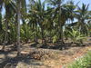 listing thumbnail image 17