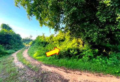 Land for sale Nua Khlong Krabi : ที่ดินเปล่า 295.6 square meter Krabi Nua Khlong Nua Khlong for 553000 THB