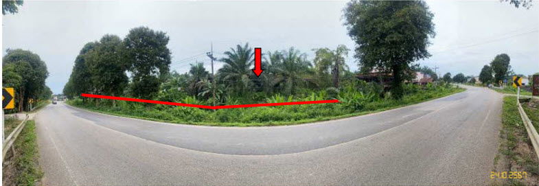 picture ที่ดินเปล่า 2980 square meter Krabi Lam Thap Lam Thap for 5960000 THB - 5/8