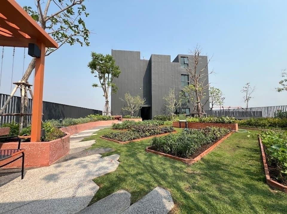 picture Rent a Condo at The Base near Central festival , Chiang Mai - 15/18
