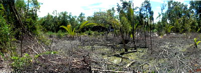 ที่ดินเปล่า 3742.4 square meter Samut Songkram Amphawa Yi San for 1030000 THB