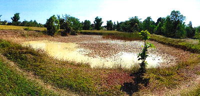 ที่ดิน สว่างแดนดิน สกลนคร : ที่ดินเปล่า เนื้อที่ทั้งหมด 8212 ตารางเมตร - ตำบลสว่างแดนดิน อำเภอสว่างแดนดิน สกลนคร ราคา 1,097,000 บาท