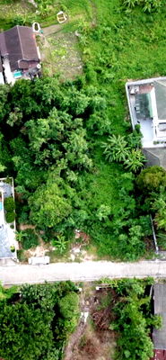 ที่ดิน หาดบางเสร่ : ขายที่ดินเปล่าใกล้ทะเล นาจอมเทียน42