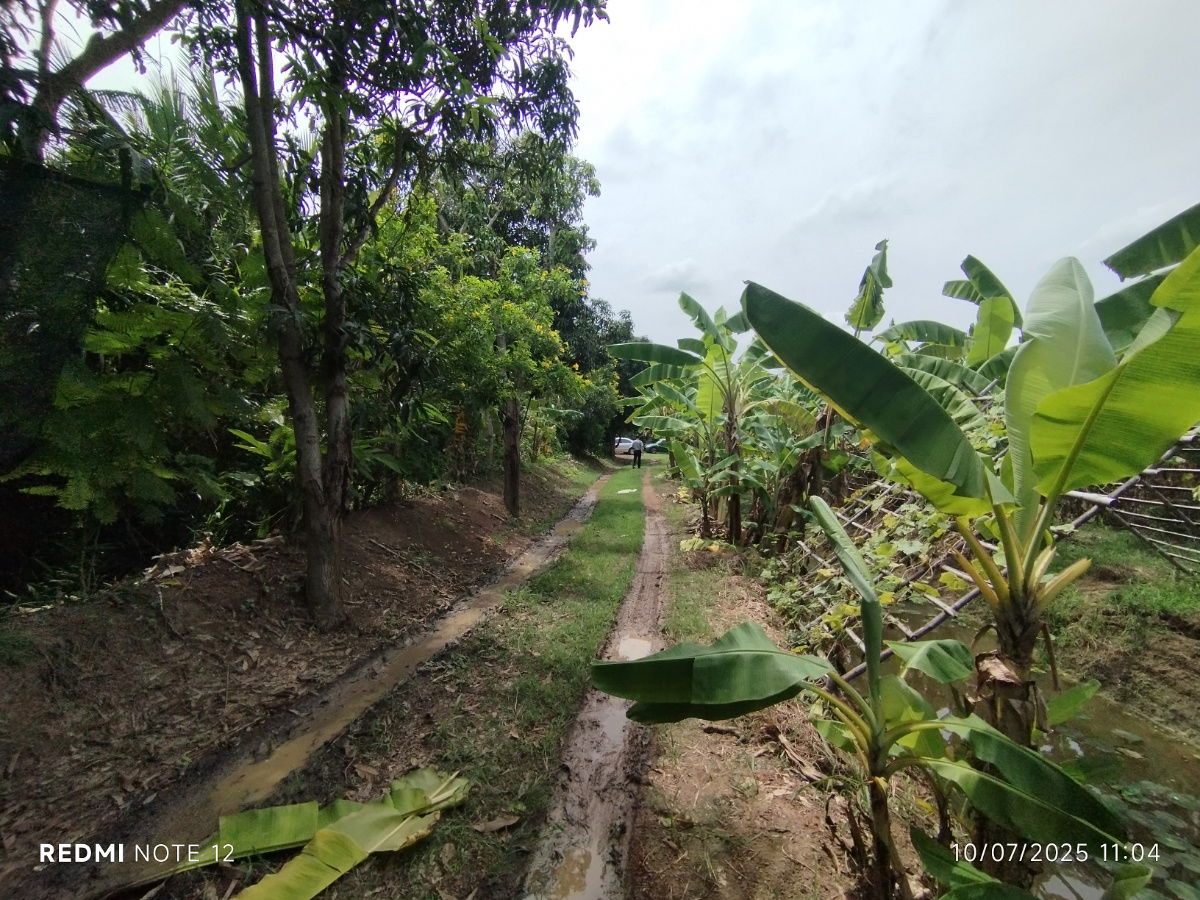 picture 🌿 Riverside Land for Sale in Bangpakong - Over 5 Rai, Pak Nam Cholo, Near Bang Khla Market - High Potential for Eco-Agricultural Business Development - 5/9