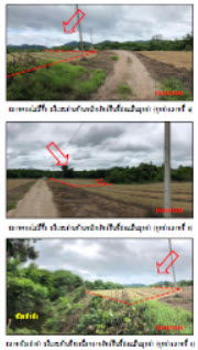 picture ที่ดินเปล่า 2656 square meter Lamphun Pa Sang Nakhon Chedi for 172000 THB - 2/3