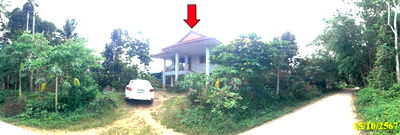 Houses for sale Phatthalung : บ้านเดี่ยว 462 square meter Phatthalung Pak Phayun Falami for 593000 THB