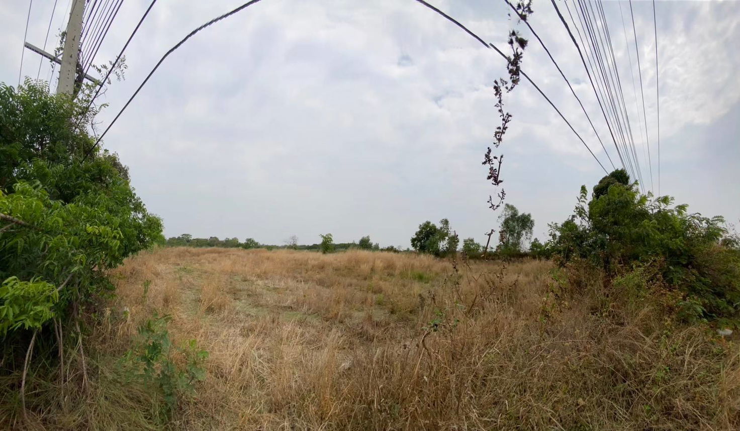 picture ที่ดินเปล่า 8984 square meter Buri Ram Lam Plai Mat Nong Kathing for 4773000 THB - 6/7