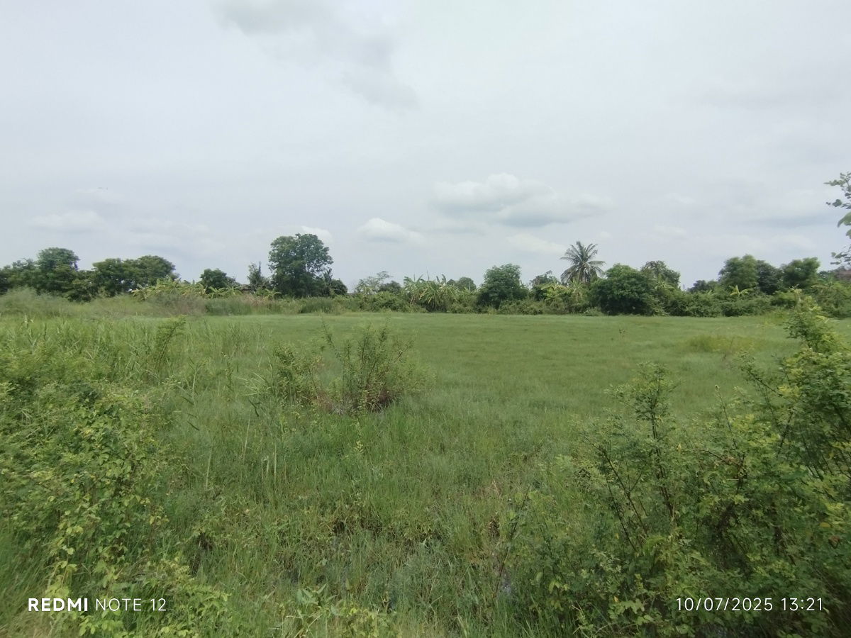 picture 🌿Riverside Land For Sale 9+ Rai Land with Bangpakong River View, Hua Sai, Bang Khla - Perfect for Investment & Various Eco-Business Development - 4/7