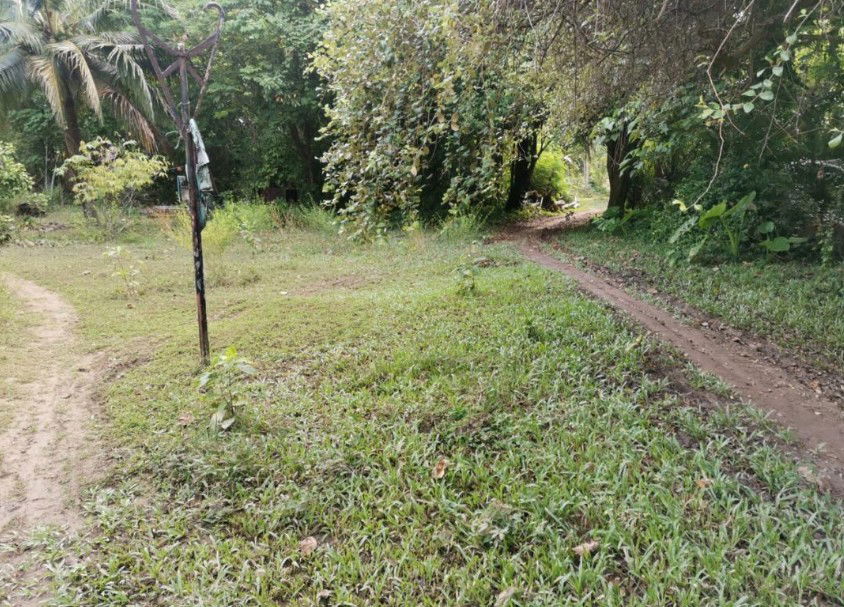 picture ที่ดินเปล่า 1267.2 square meter Phuket Muang Phuket Rawai for 1192000 THB - 1/3
