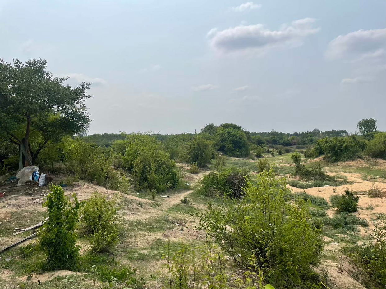 picture ที่ดินเปล่า 95456 square meter Buri Ram Satuk Sakae for 10409000 THB - 7/10