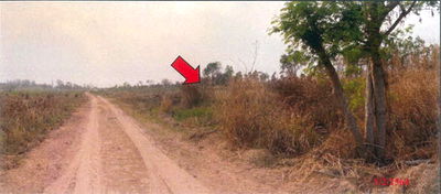 Land for sale Chaiyaphum : ที่ดินเปล่า 10080 square meter Chaiyaphum Nong Bua Rawae Nong Bua Rawae for ติดต่อธนาคาร THB