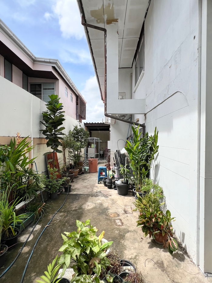 รูป ขายด่วน บ้านเดี่ยว พระราม9 ซ.43 ใกล้ The Nine ทำเลดี รีโนเวทใหม่ 60 วา 3 ห้องนอน  - รูปที่ 3/19