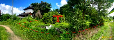 Land for sale Chana Songkhla : ที่ดินเปล่า 476.4 square meter Songkhla Chana Ban Na for 1394000 THB