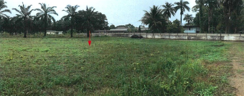 picture ที่ดินเปล่า 1824 square meter Chumphon Tha Sae Tha Sae for 1929000 THB - 2/9