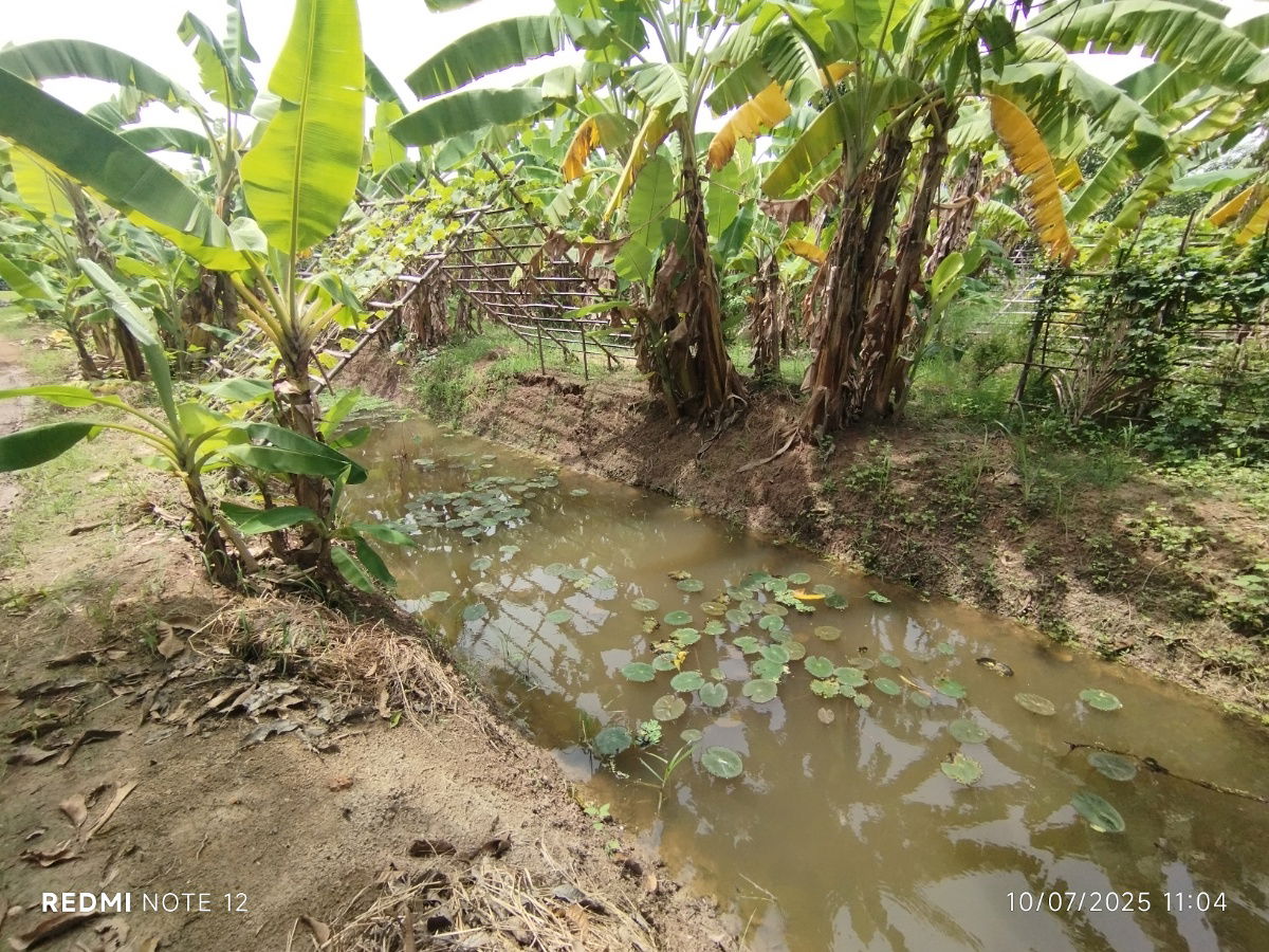 picture 🌿 Riverside Land for Sale in Bangpakong - Over 5 Rai, Pak Nam Cholo, Near Bang Khla Market - High Potential for Eco-Agricultural Business Development - 6/9