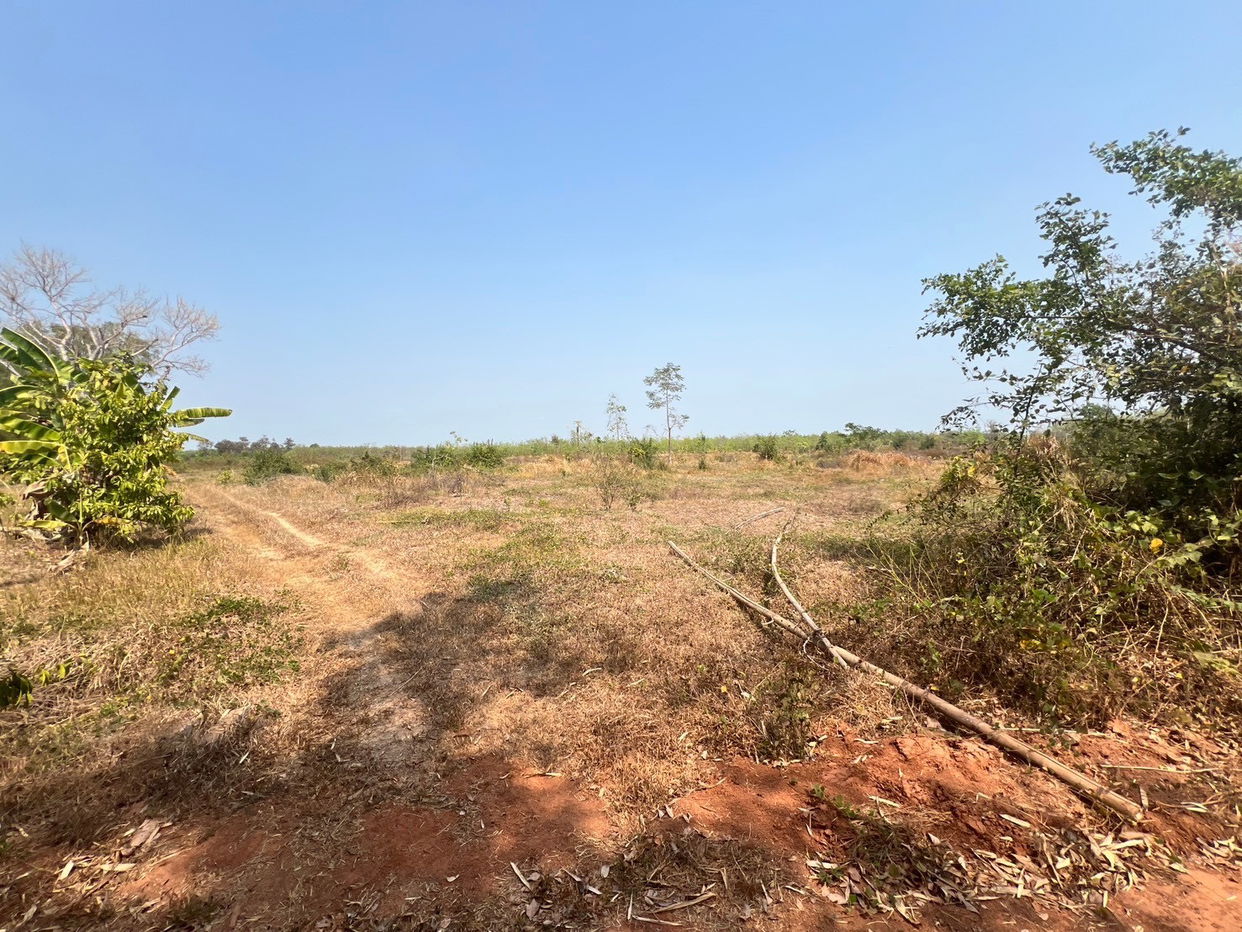 picture ที่ดินเปล่า 152368 square meter Sakon Nakhon Kham Ta Kla Nong Bua Sim for 5333000 THB - 4/12