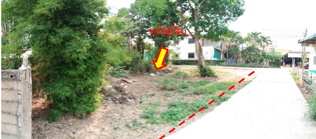 picture ที่ดินเปล่า 696 square meter Chiang Mai Fang Mae Sun for 2103000 THB - 2/2