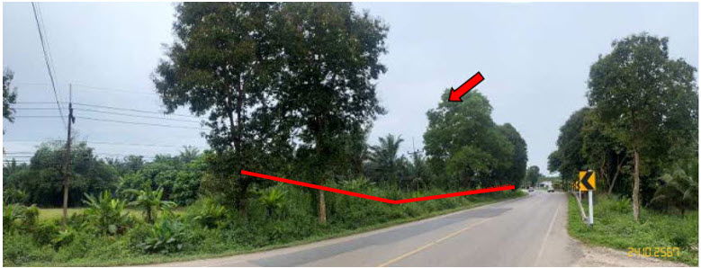 picture ที่ดินเปล่า 2980 square meter Krabi Lam Thap Lam Thap for 5960000 THB - 4/8