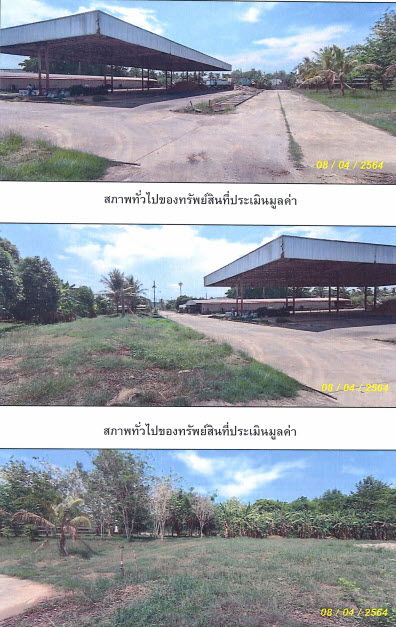 picture โรงงาน 62133.2 square meter Trang Muang Trang Na Tham Nua for 78743000 THB - 4/6