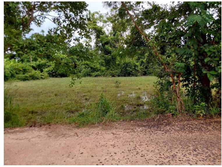 รูป ที่ดินเปล่า เนื้อที่ทั้งหมด 1644 ตารางเมตร - ตำบลบึงกาฬ อำเภอเมืองบึงกาฬ บึงกาฬ ราคา 1,880,000 บาท - รูปที่ 2/4