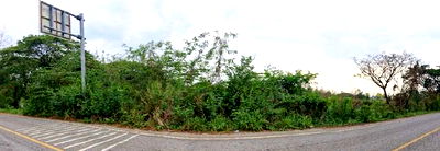 Land for sale Muang Nong Bua Lam Phu Nong Bua Lam Phu : ที่ดินเปล่า 16000 square meter Nong Bua Lam Phu Muang Nong Bua Lam Phu Nong Bua for ติดต่อธนาคาร THB