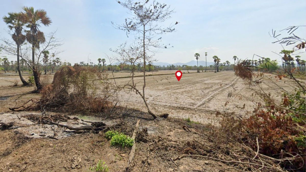 picture Rare Opportunity! Large Land Plot (11-1-96 Rai) Near Phetkasem Road, Phetchaburi – Great Investment Price - 5/9