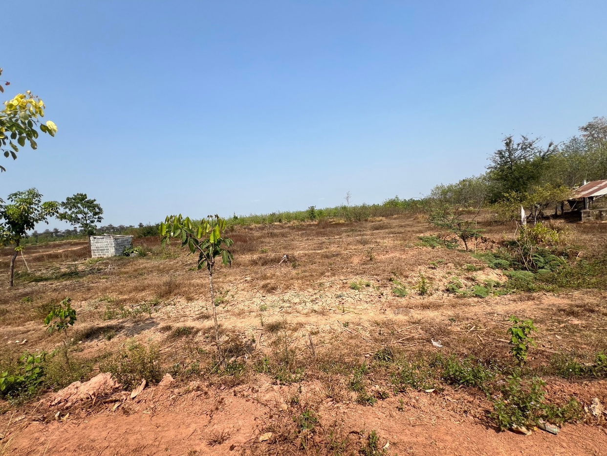 picture ที่ดินเปล่า 152368 square meter Sakon Nakhon Kham Ta Kla Nong Bua Sim for 5333000 THB - 8/12